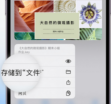 青湖路街道apple维修中心分享iPhone文件应用中存储和找到下载文件