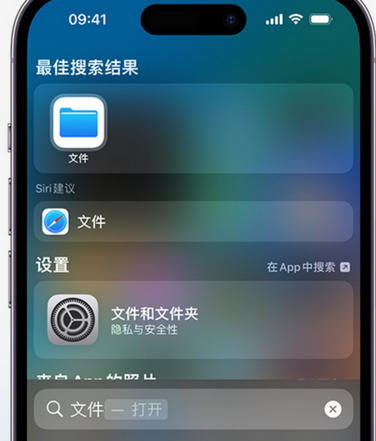 青湖路街道apple维修中心分享iPhone文件应用中存储和找到下载文件 