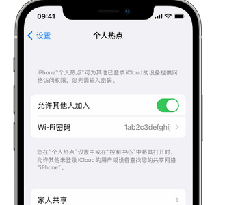 青湖路街道apple服务站点分享iPhone上个人热点丢失了怎么办