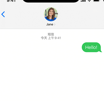 青湖路街道apple维修iPhone上无法正常发送iMessage信息