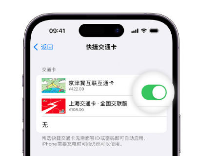 青湖路街道apple维修点分享iPhone上更换Apple Pay快捷交通卡手绘卡面 