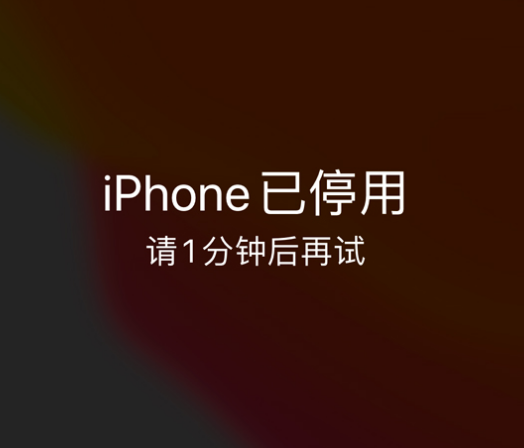 青湖路街道苹果手机维修分享:iPhone 显示“不可用”或“已停用”怎么办？还能保留数据吗？ 