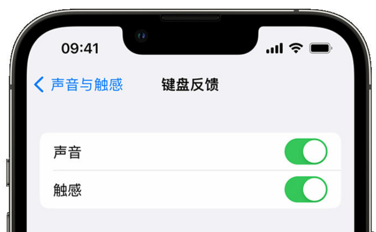 青湖路街道苹果手机维修分享iPhone 14触感键盘使用方法 