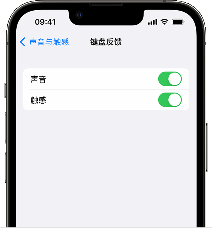 青湖路街道苹果14维修店分享如何在 iPhone 14 机型中使用触感键盘 