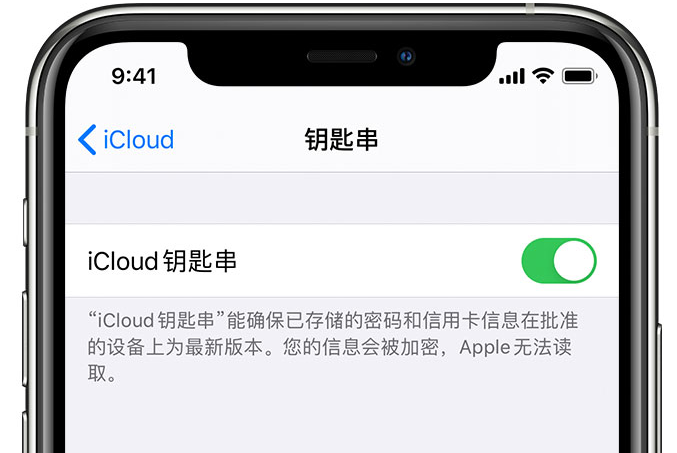 青湖路街道苹果手机维修分享在 iPhone 上开启 iCloud 钥匙串之后会储存哪些信息 