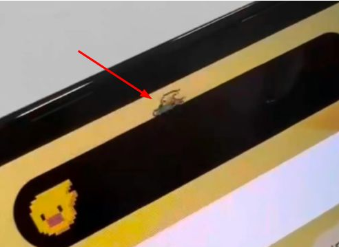 青湖路街道苹果14维修分享iPhone 14 Pro Max灵动岛怎么养宠物 
