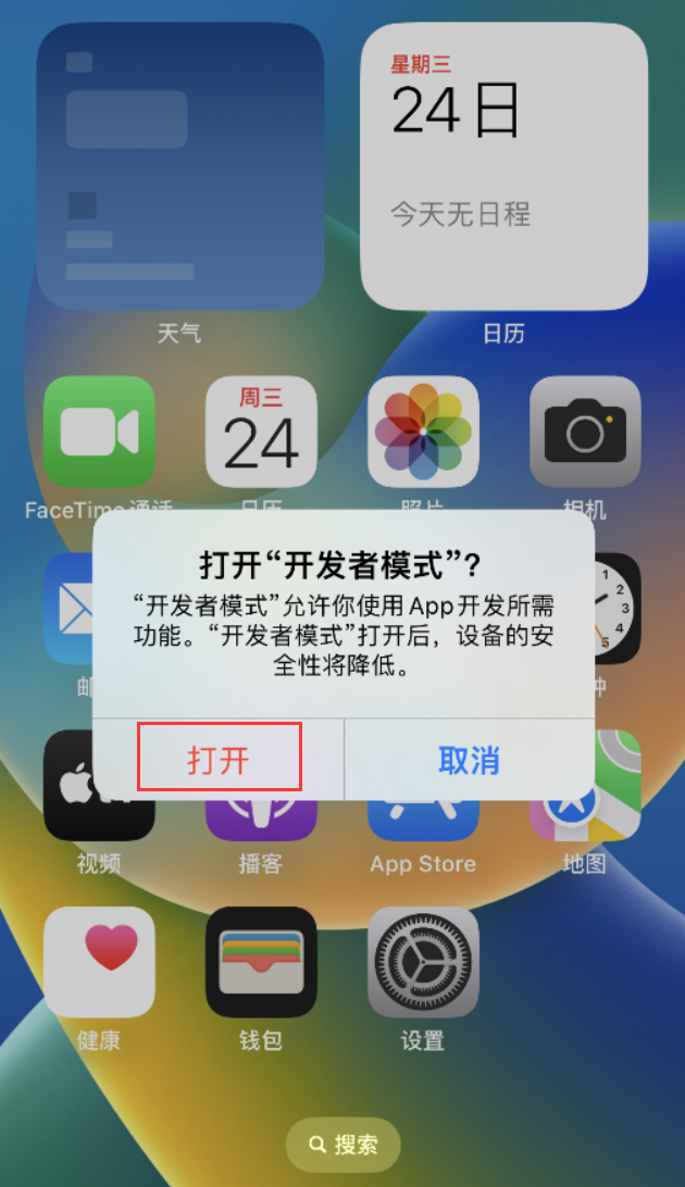 青湖路街道苹果手机维修分享如何打开开发者模式 