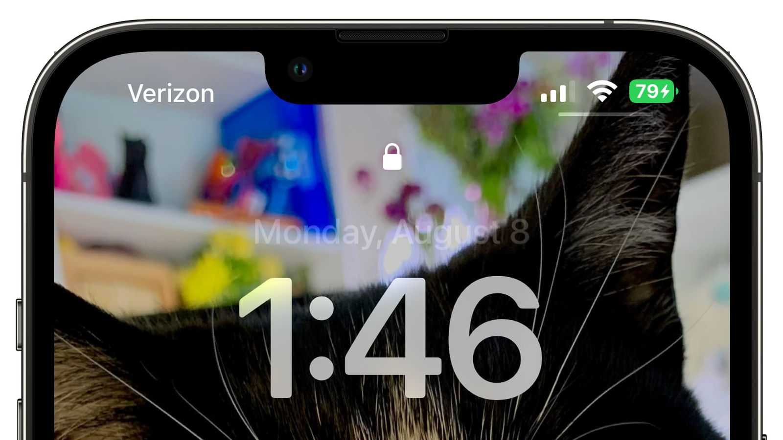 青湖路街道苹果手机维修分享iOS 16 beta 5 支持状态栏显示电池百分比，如何开启？支持哪些机型 