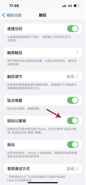 青湖路街道苹果手机维修分享iPhone手机如何设置摇一摇删除文字 