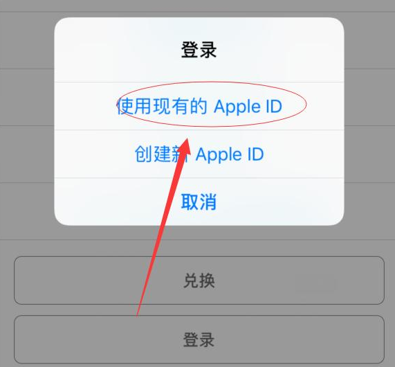 青湖路街道苹果手机维修分享两台iPhone设备可以同时登录一个Apple ID吗 