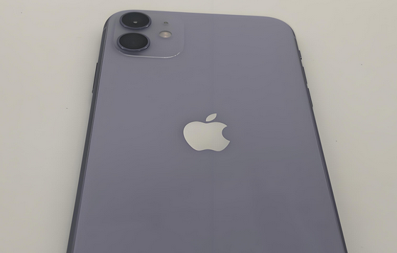 青湖路街道苹果11系统维修分享iPhone11手机系统崩溃无法开机如何解决 